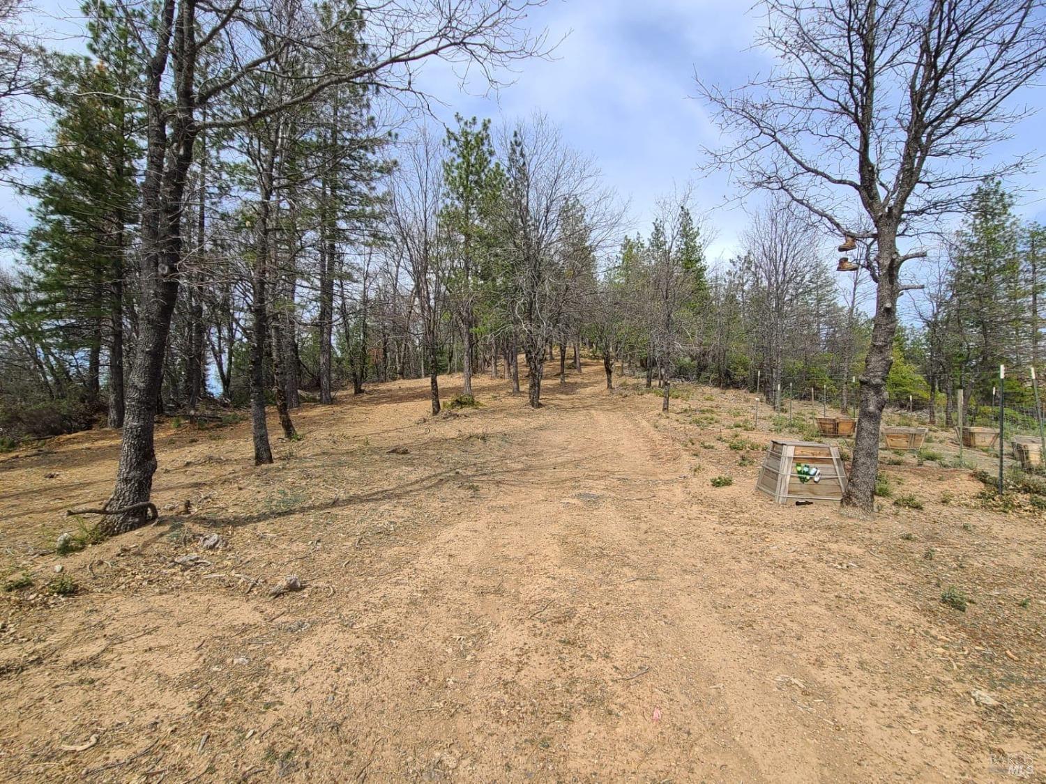 47700 Bentley Ridge Road Covelo CA 95428