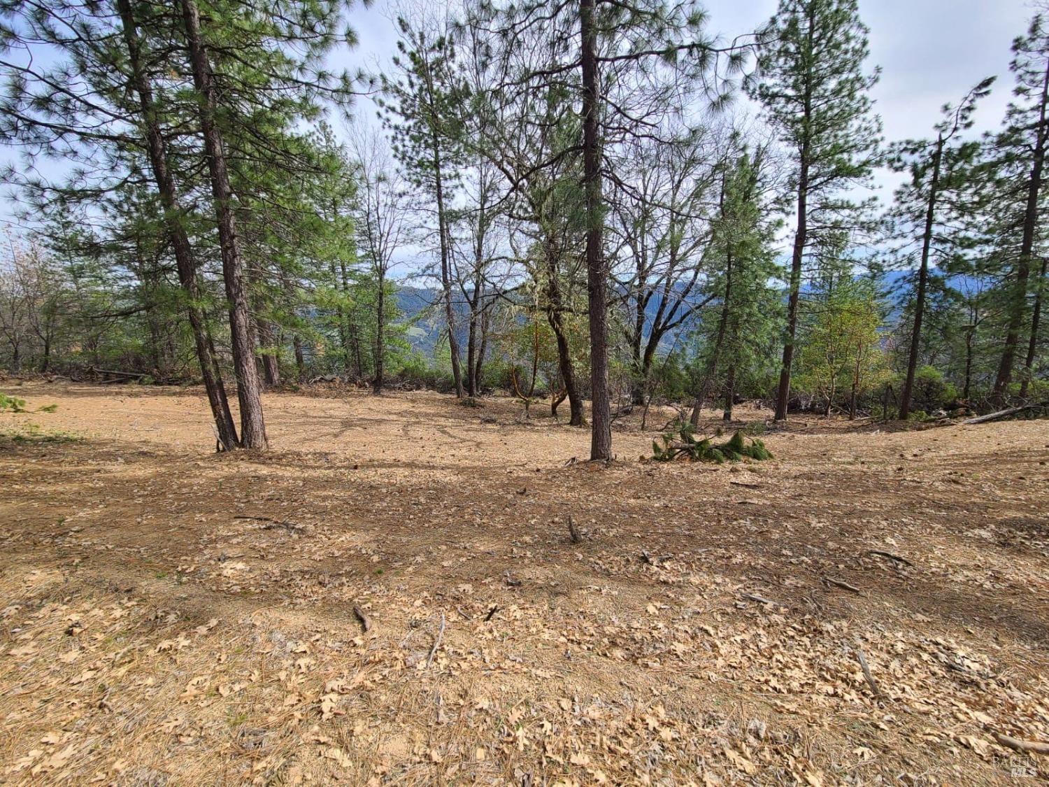 47700 Bentley Ridge Road Covelo CA 95428