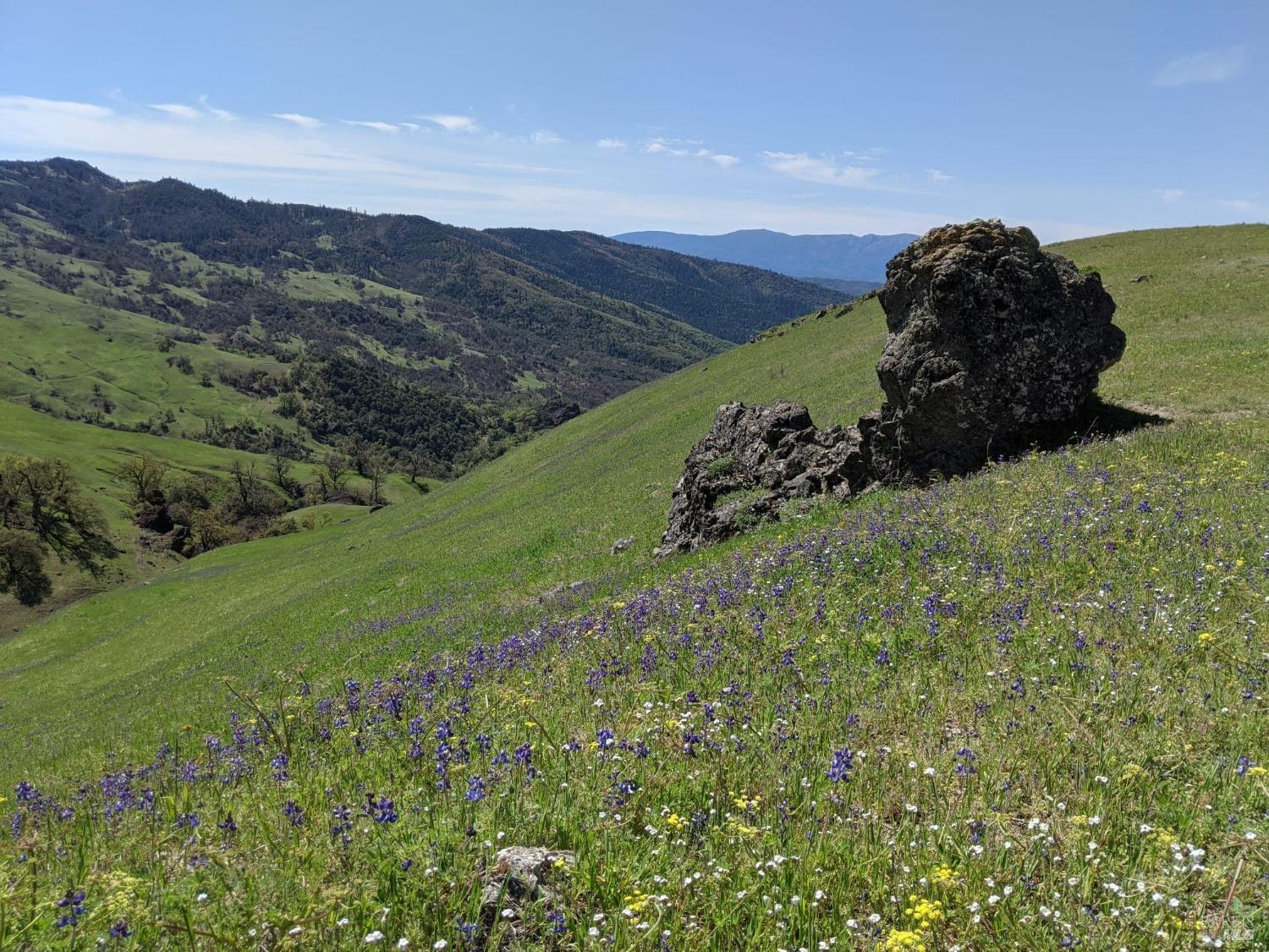 47700 Bentley Ridge Road Covelo CA 95428