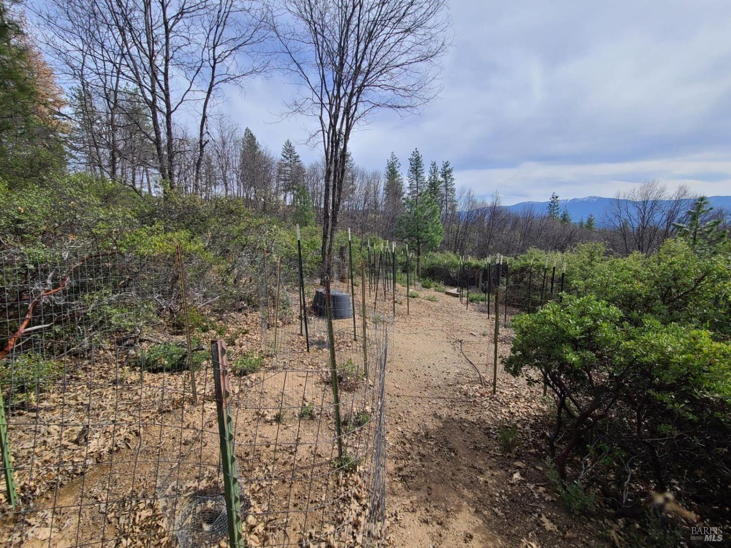 47700 Bentley Ridge Road Covelo CA 95428