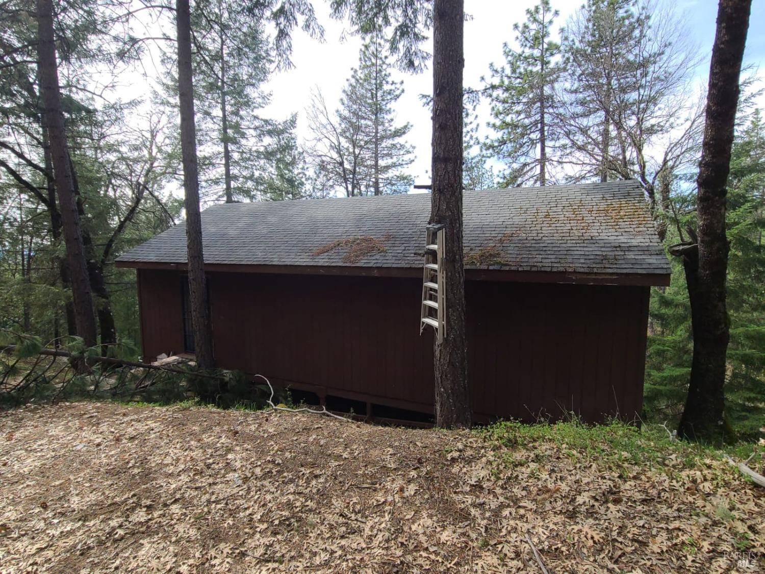 47700 Bentley Ridge Road Covelo CA 95428