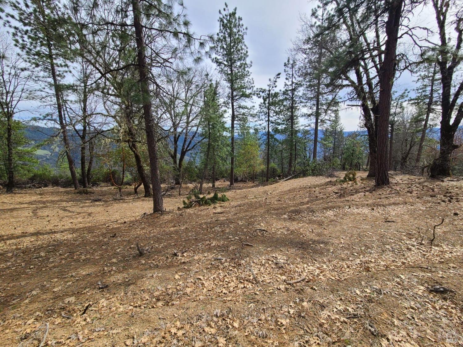 47700 Bentley Ridge Road Covelo CA 95428