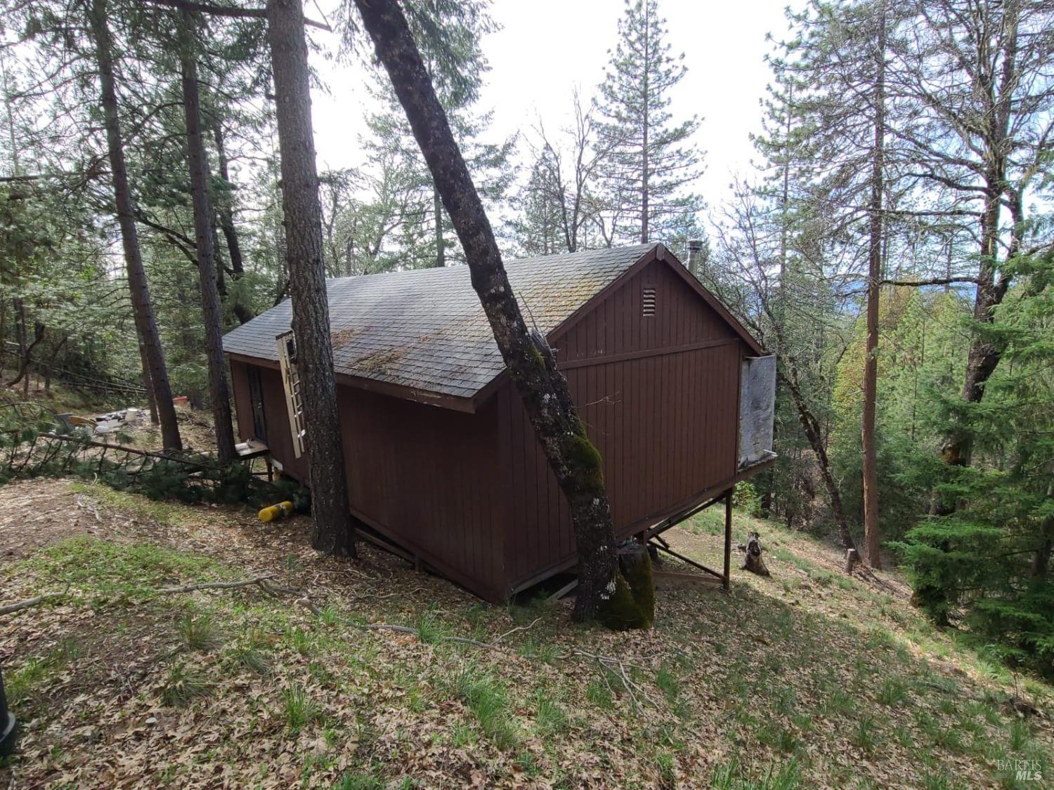 47700 Bentley Ridge Road Covelo CA 95428