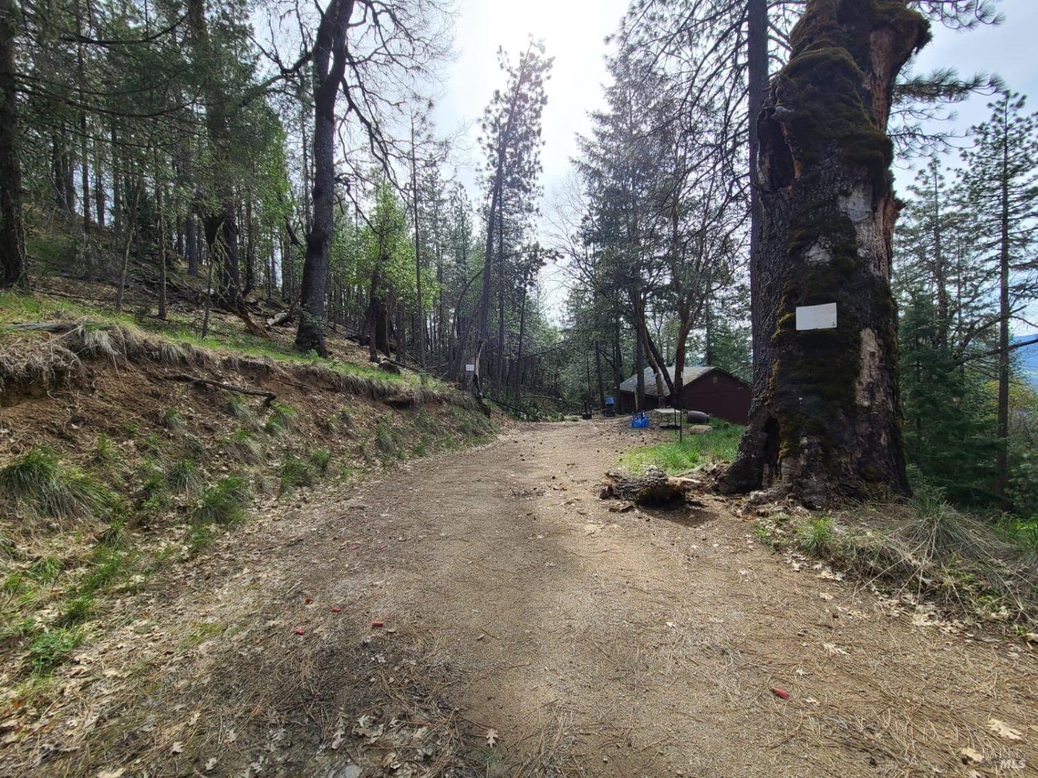 47700 Bentley Ridge Road Covelo CA 95428