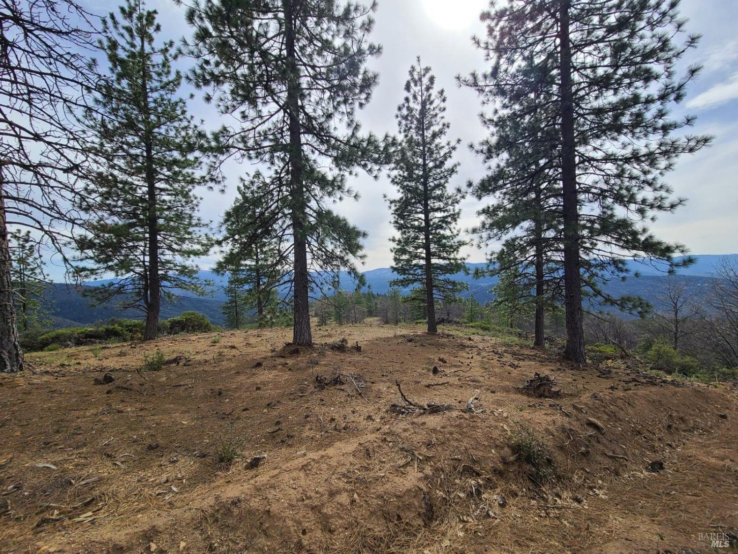 47700 Bentley Ridge Road Covelo CA 95428