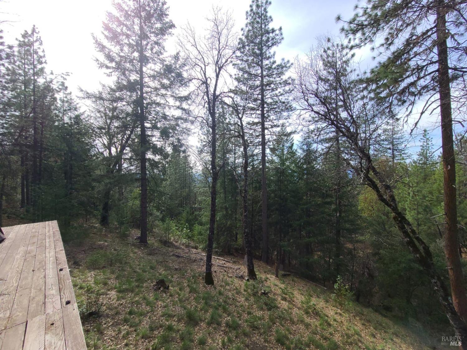 47700 Bentley Ridge Road Covelo CA 95428