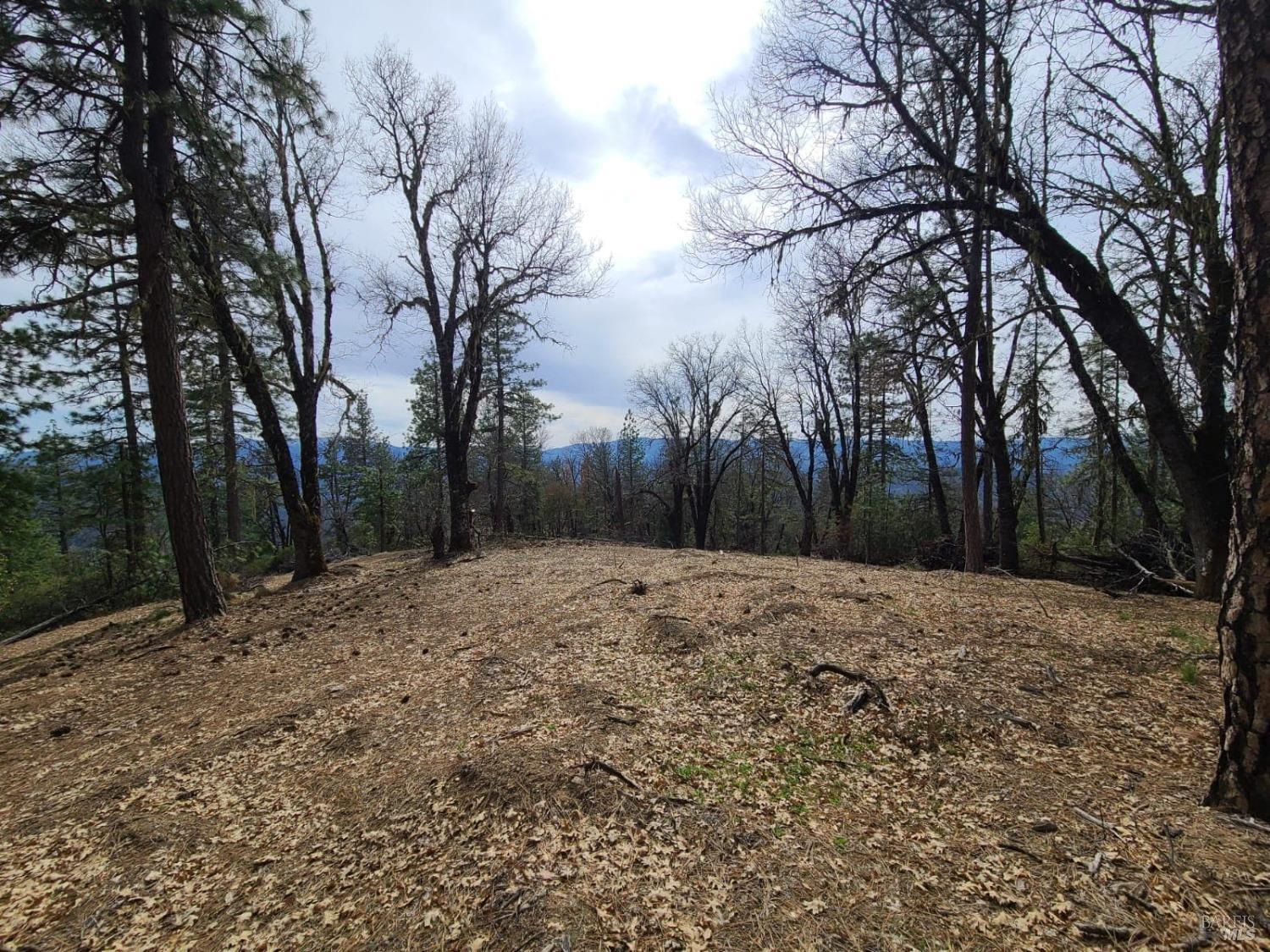 47700 Bentley Ridge Road Covelo CA 95428