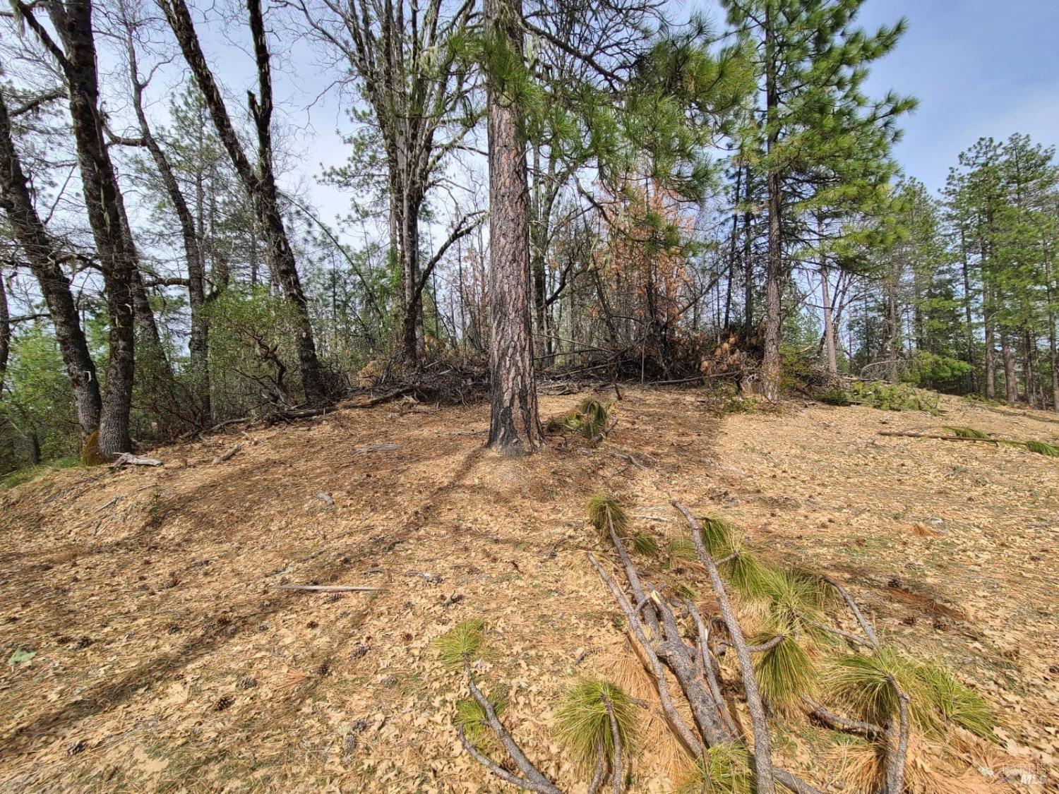 47700 Bentley Ridge Road Covelo CA 95428