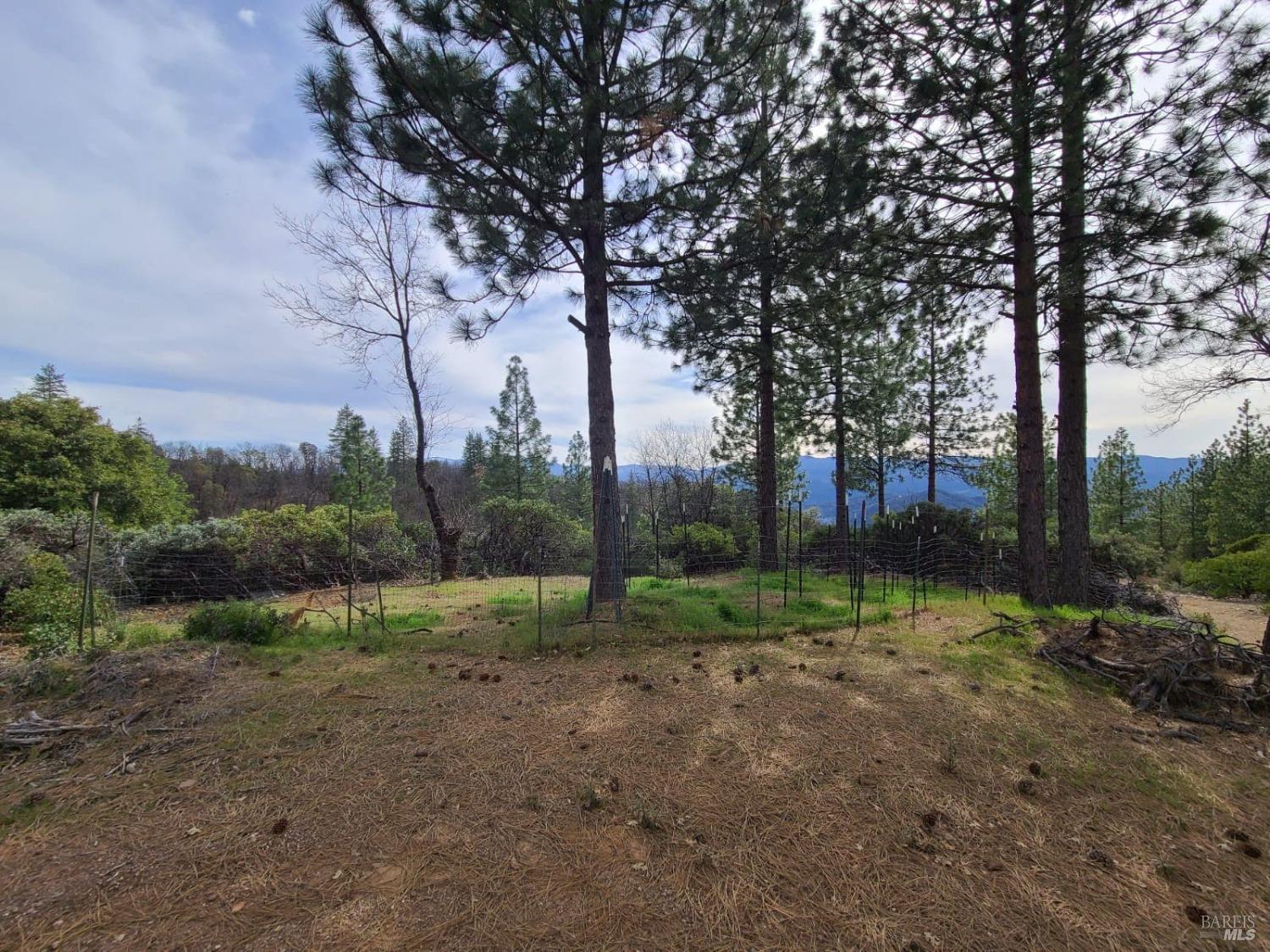 47700 Bentley Ridge Road Covelo CA 95428