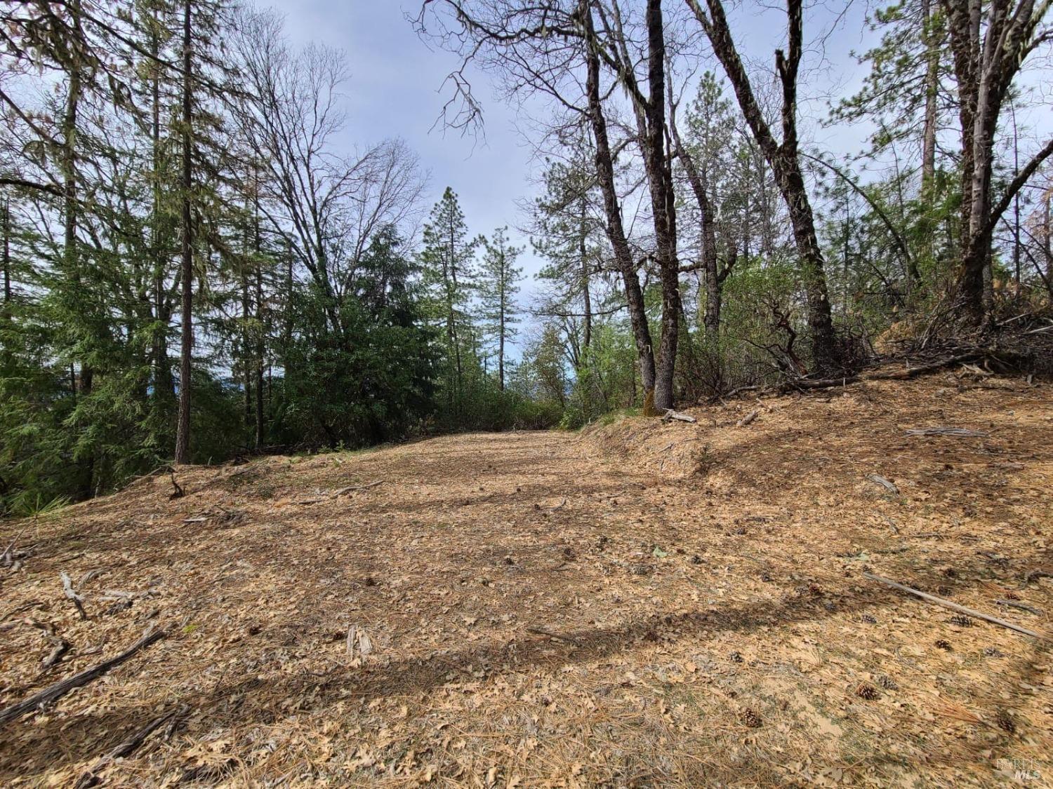 47700 Bentley Ridge Road Covelo CA 95428