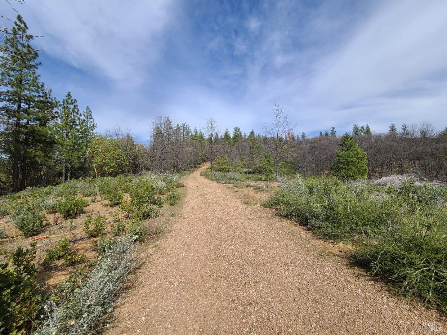 47700 Bentley Ridge Road Covelo CA 95428