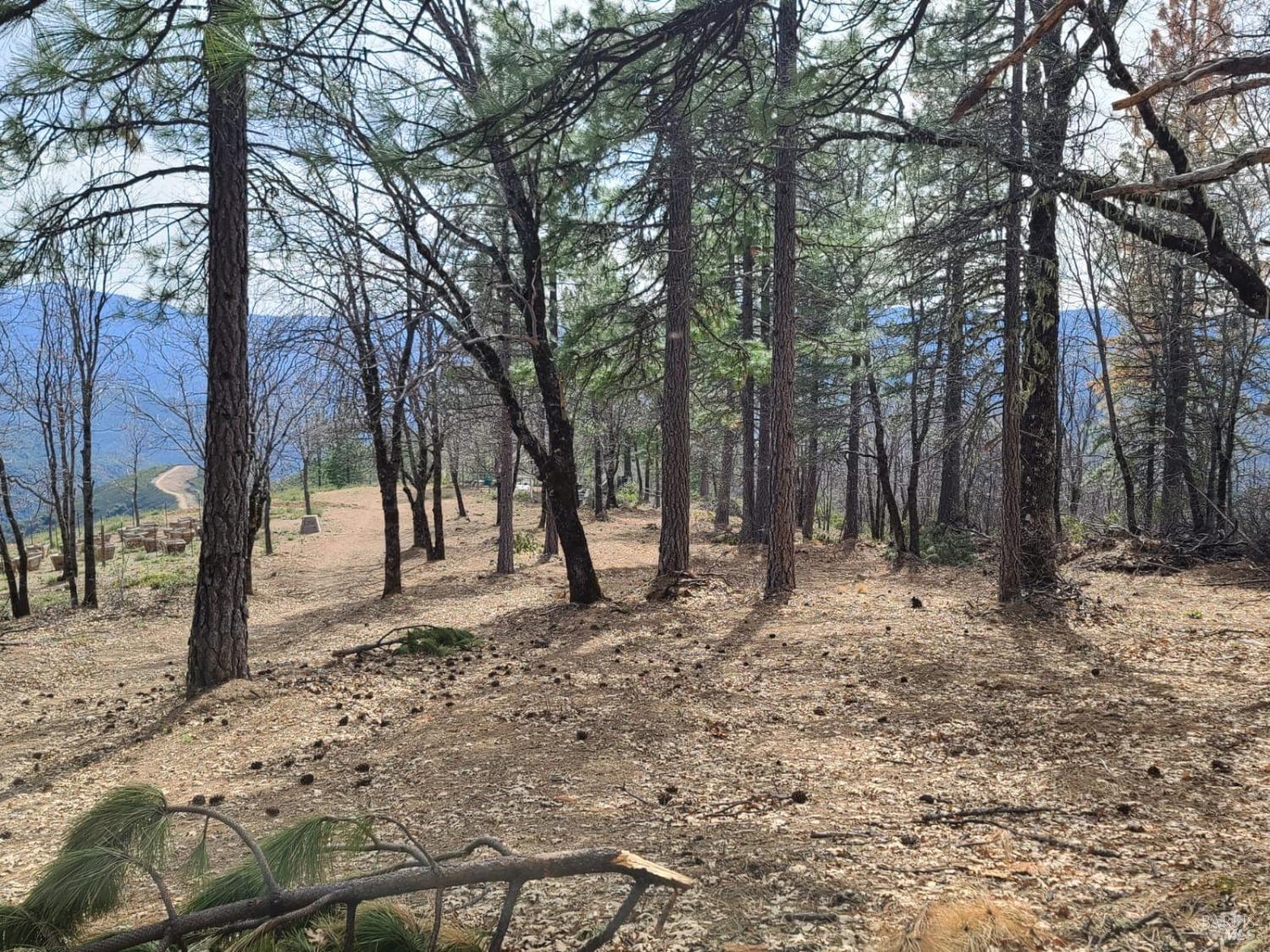 47700 Bentley Ridge Road Covelo CA 95428