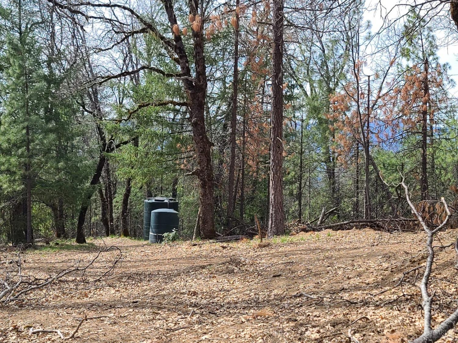 47700 Bentley Ridge Road Covelo CA 95428