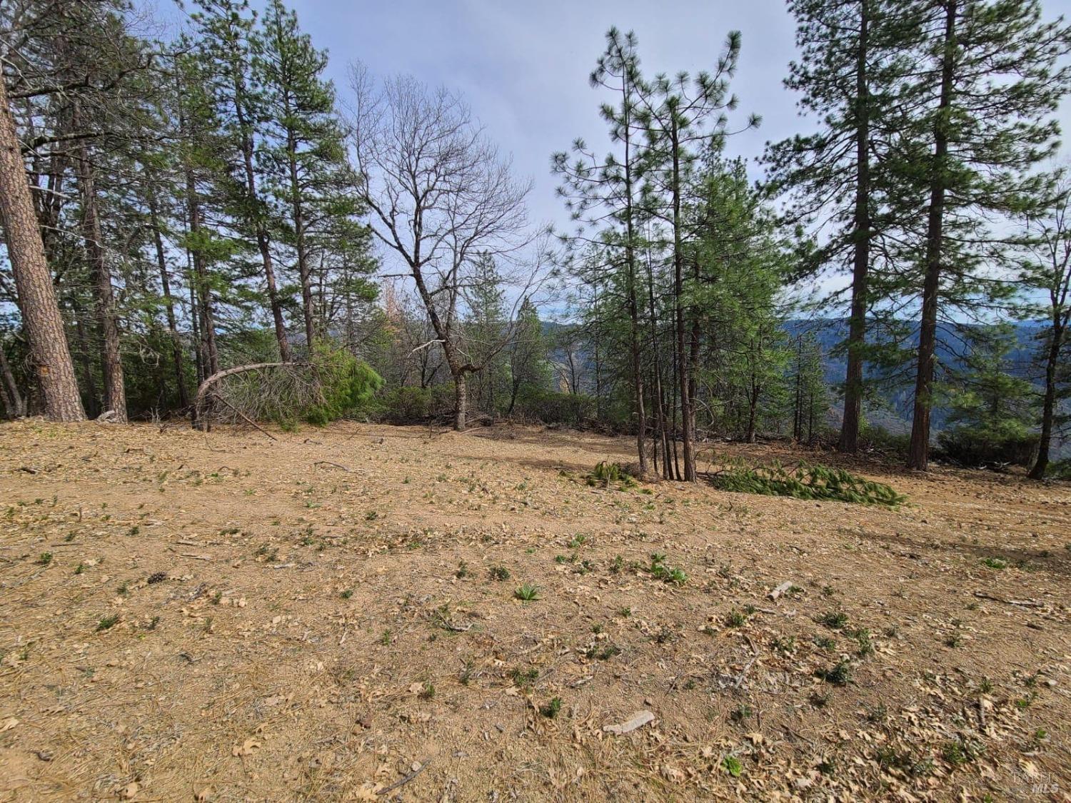 47700 Bentley Ridge Road Covelo CA 95428