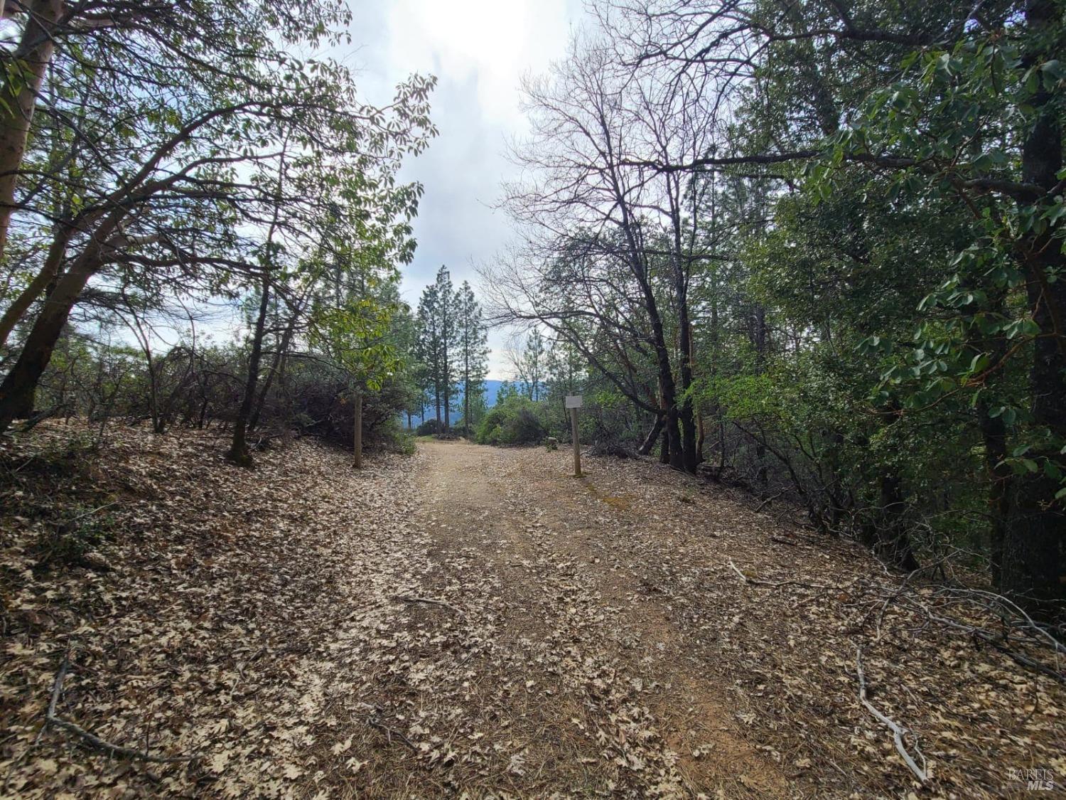 47700 Bentley Ridge Road Covelo CA 95428