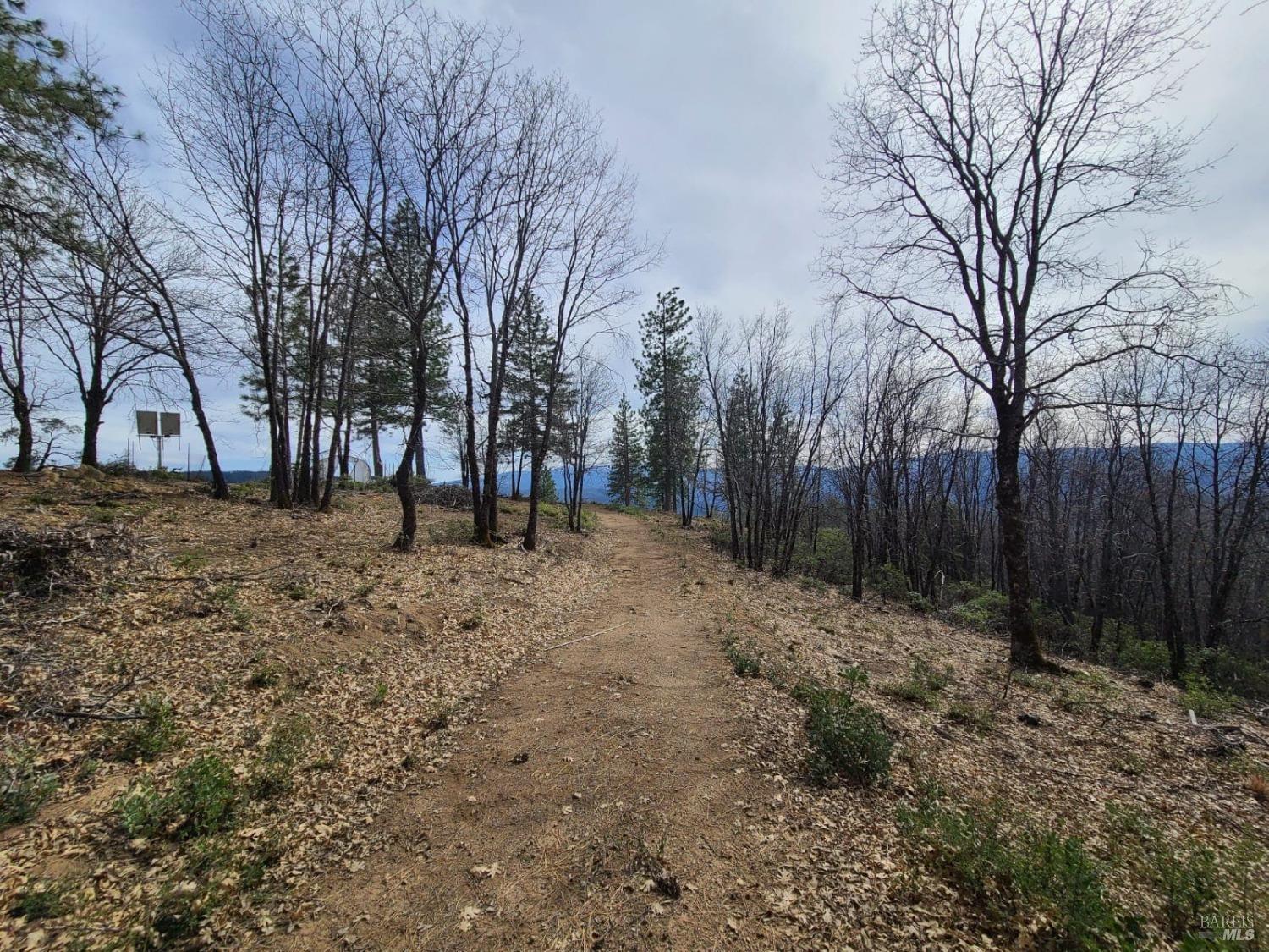 47700 Bentley Ridge Road Covelo CA 95428
