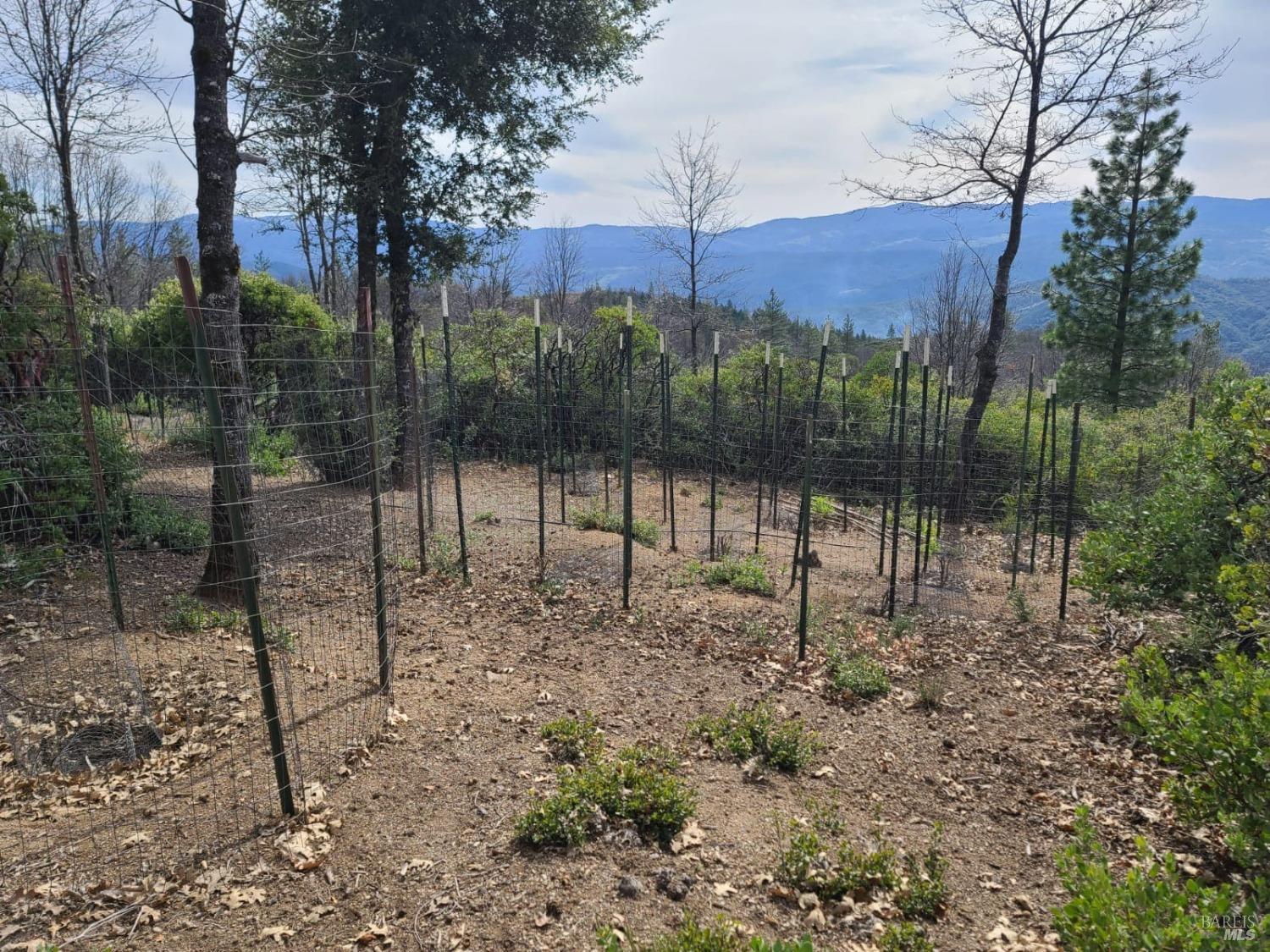 47700 Bentley Ridge Road Covelo CA 95428