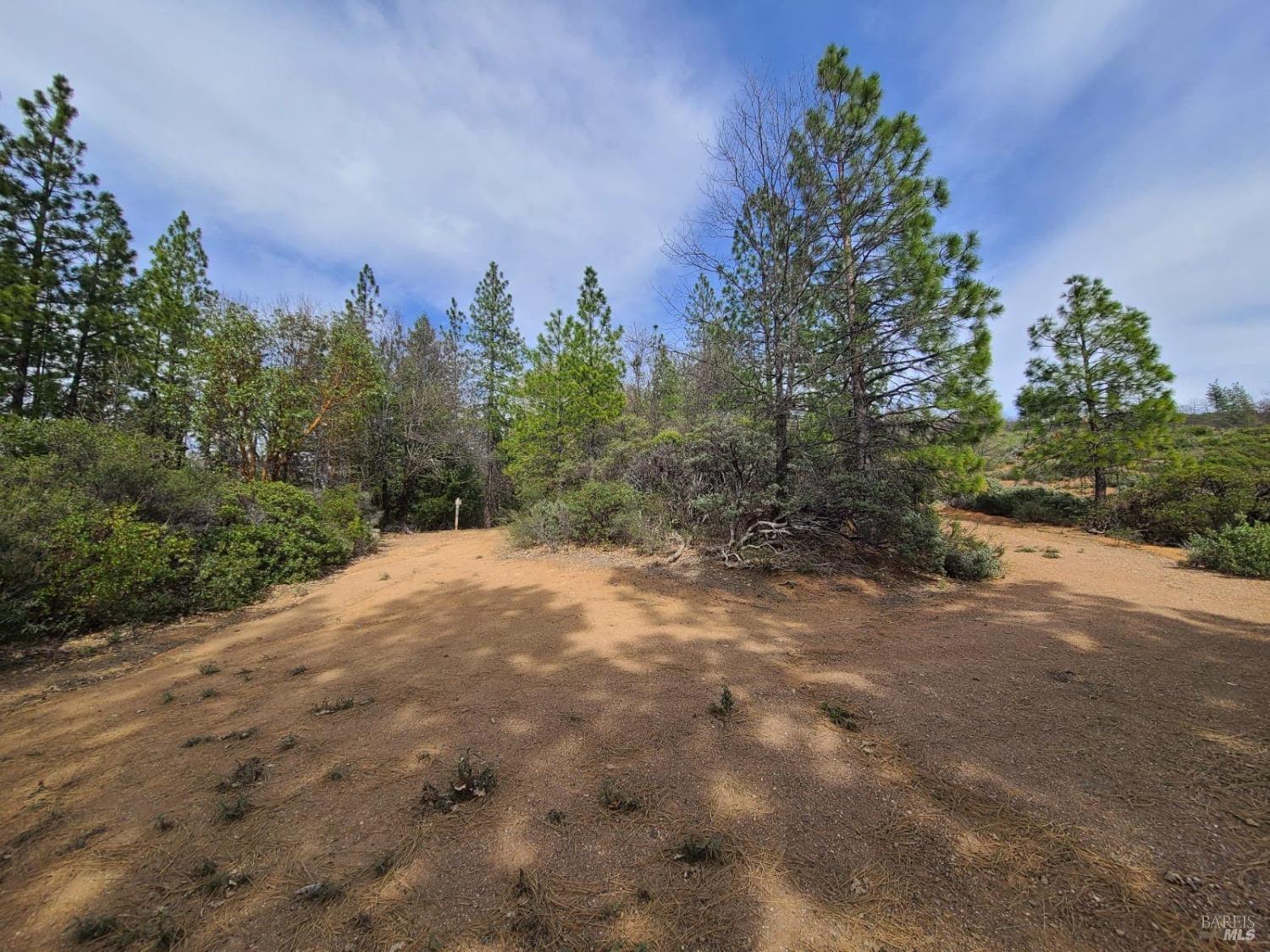 47700 Bentley Ridge Road Covelo CA 95428