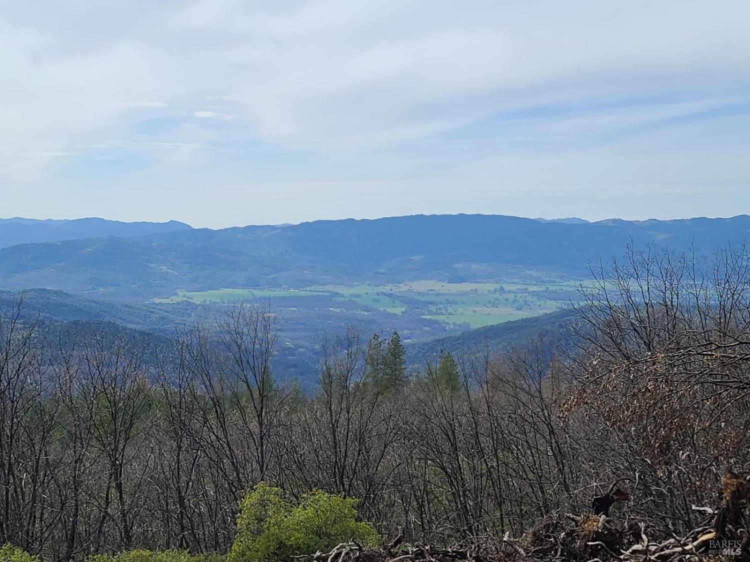 47700 Bentley Ridge Road Covelo CA 95428