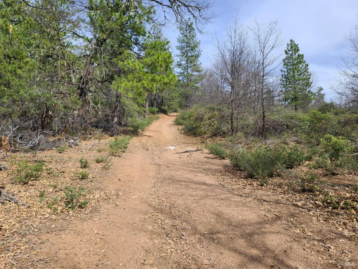 47700 Bentley Ridge Road Covelo CA 95428