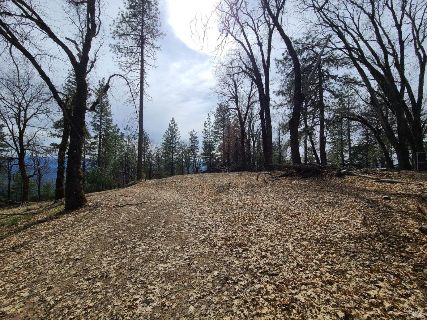 47700 Bentley Ridge Road Covelo CA 95428