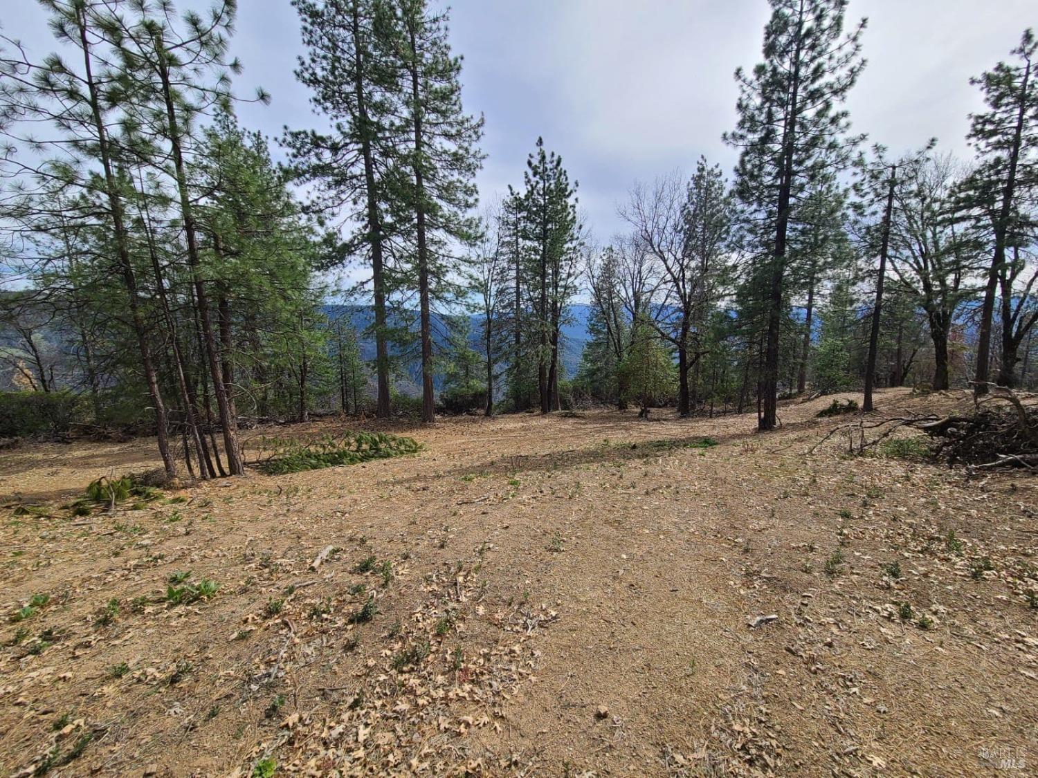 47700 Bentley Ridge Road Covelo CA 95428