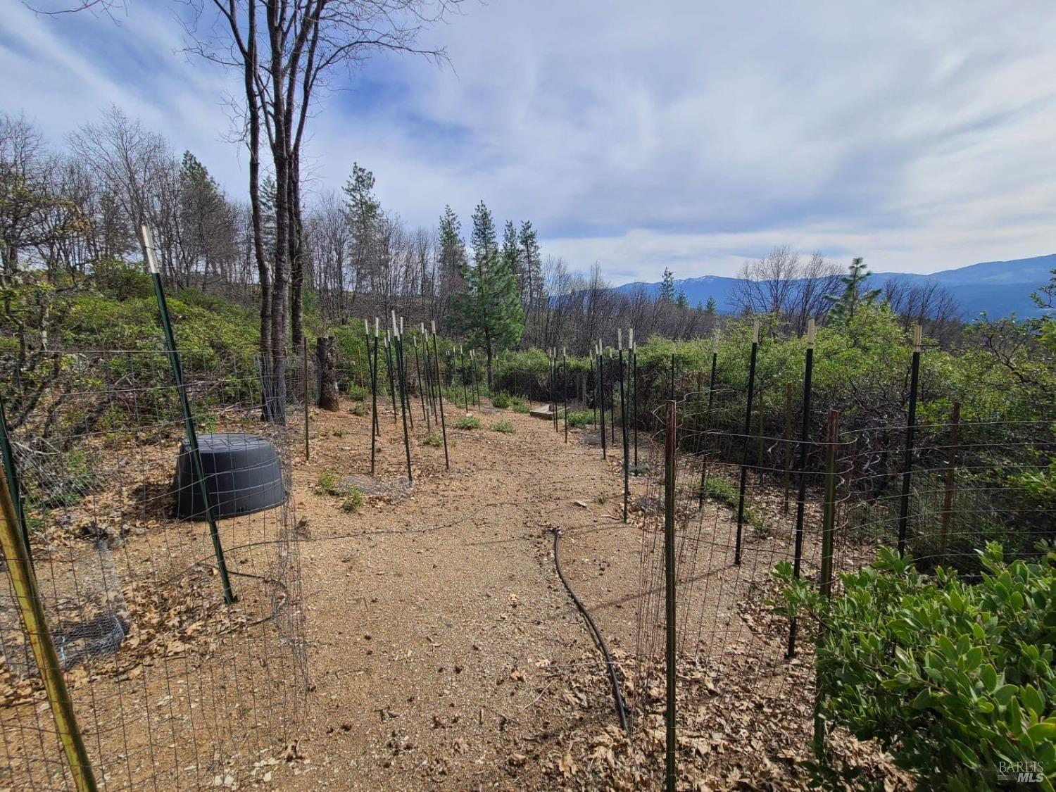 47700 Bentley Ridge Road Covelo CA 95428