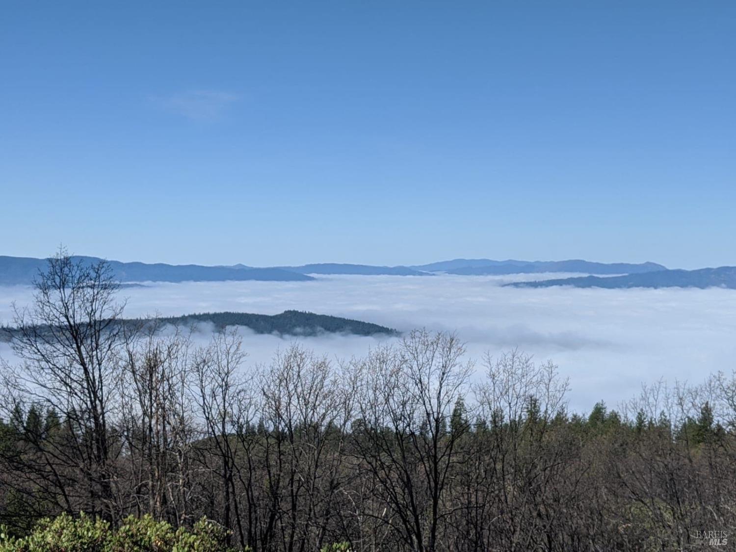 47700 Bentley Ridge Road Covelo CA 95428