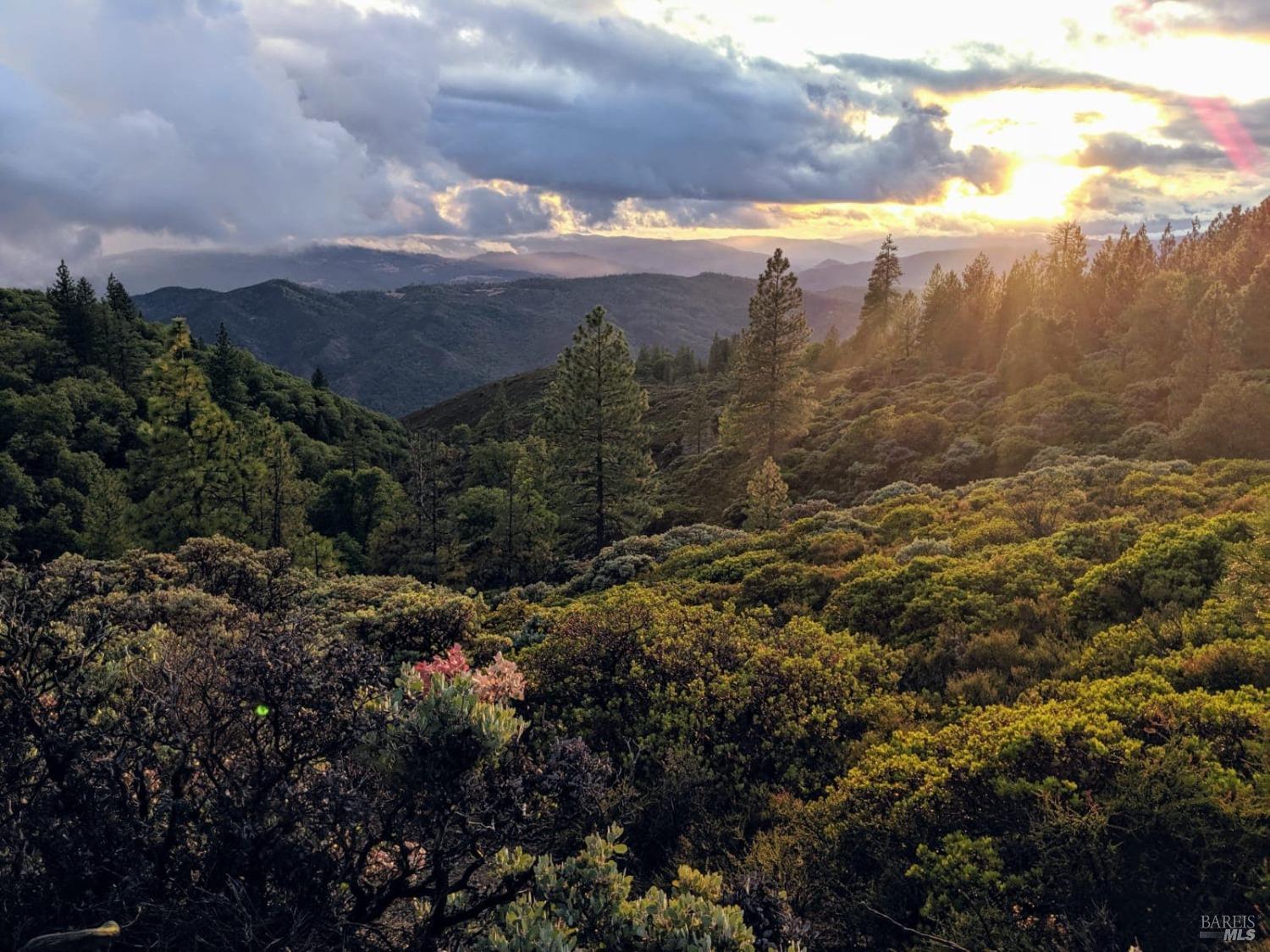 47700 Bentley Ridge Road Covelo CA 95428