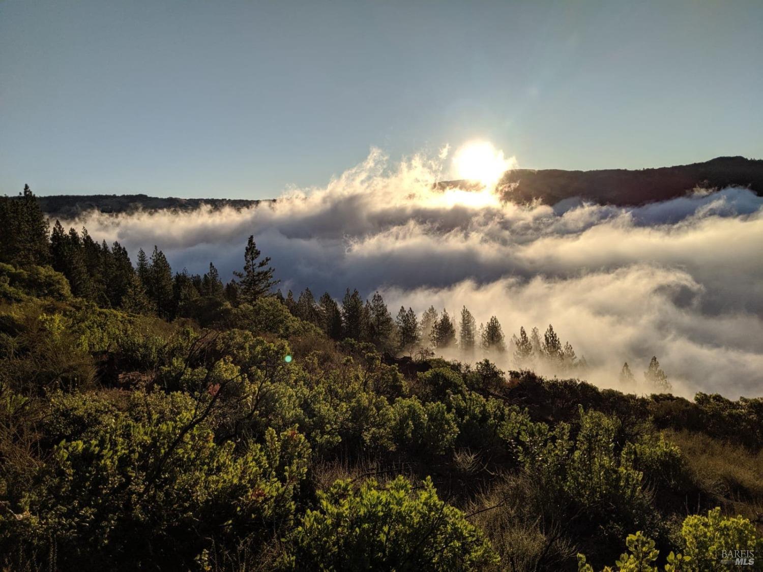 47700 Bentley Ridge Road Covelo CA 95428