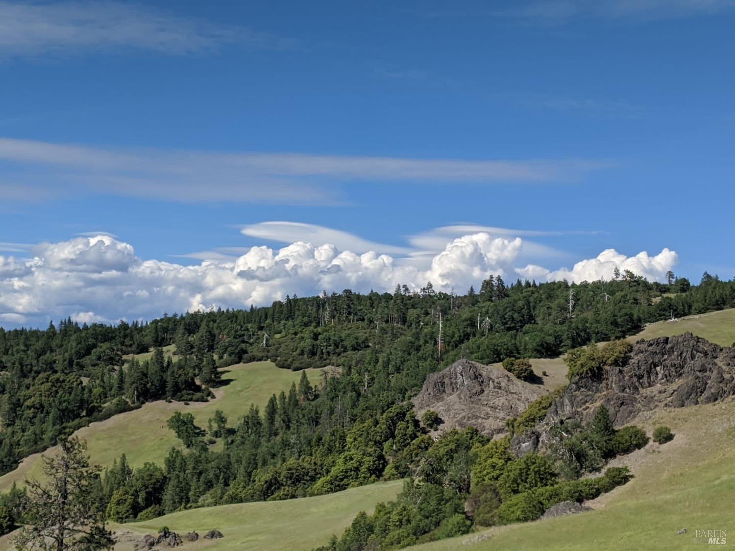 47700 Bentley Ridge Road Covelo CA 95428
