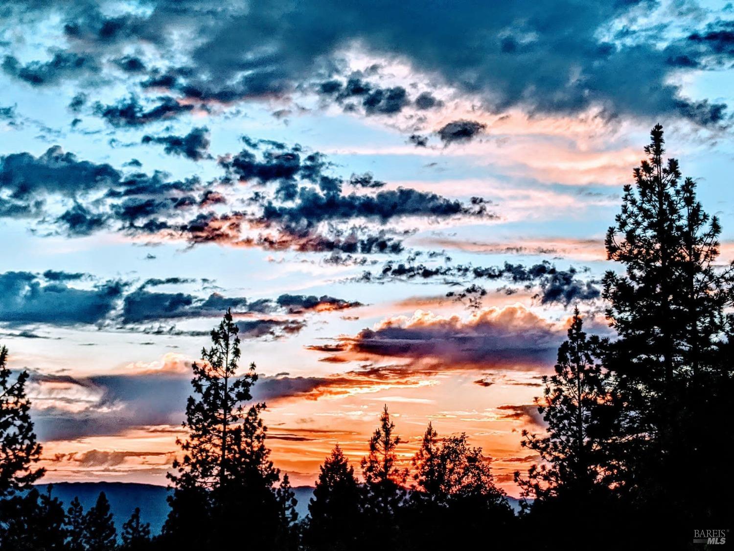 47700 Bentley Ridge Road Covelo CA 95428