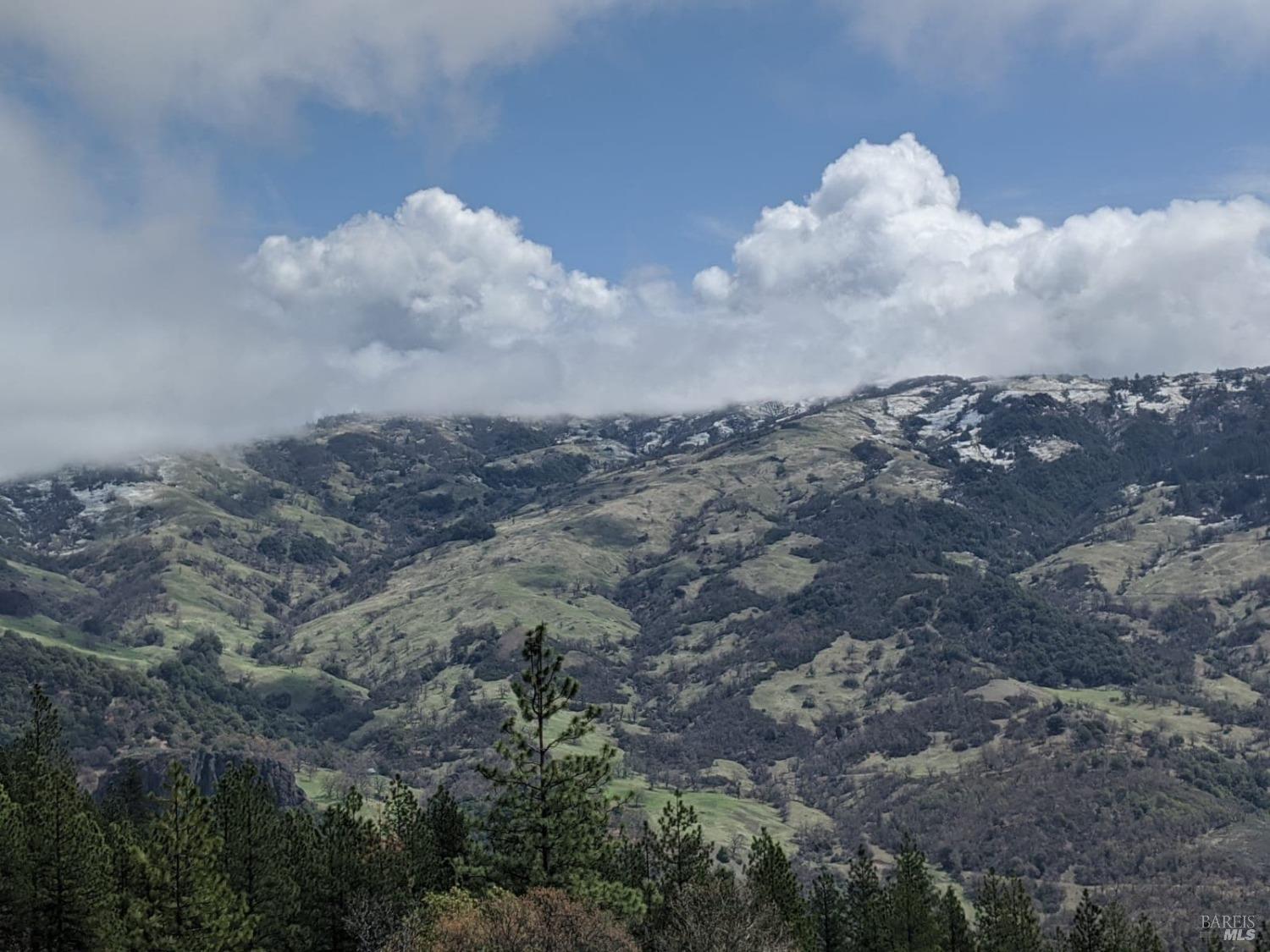 47700 Bentley Ridge Road Covelo CA 95428