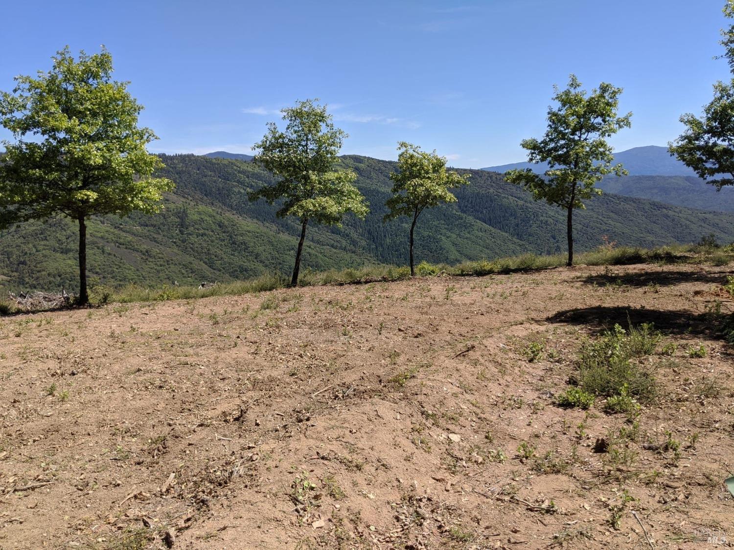 47700 Bentley Ridge Road Covelo CA 95428