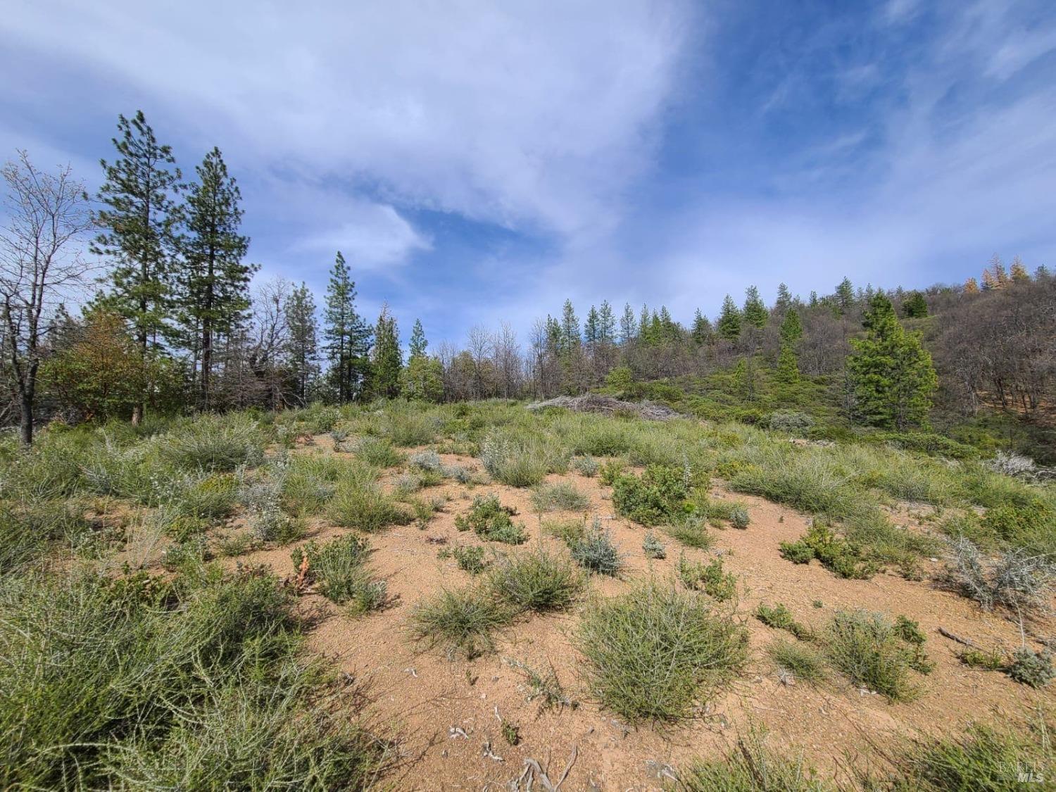 47700 Bentley Ridge Road Covelo CA 95428