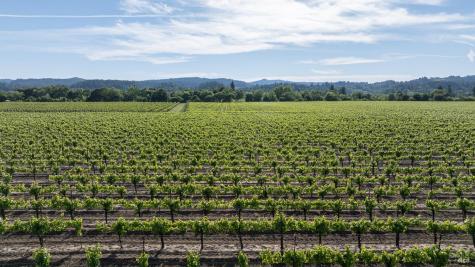 374 Kinley Drive Healdsburg CA 95448