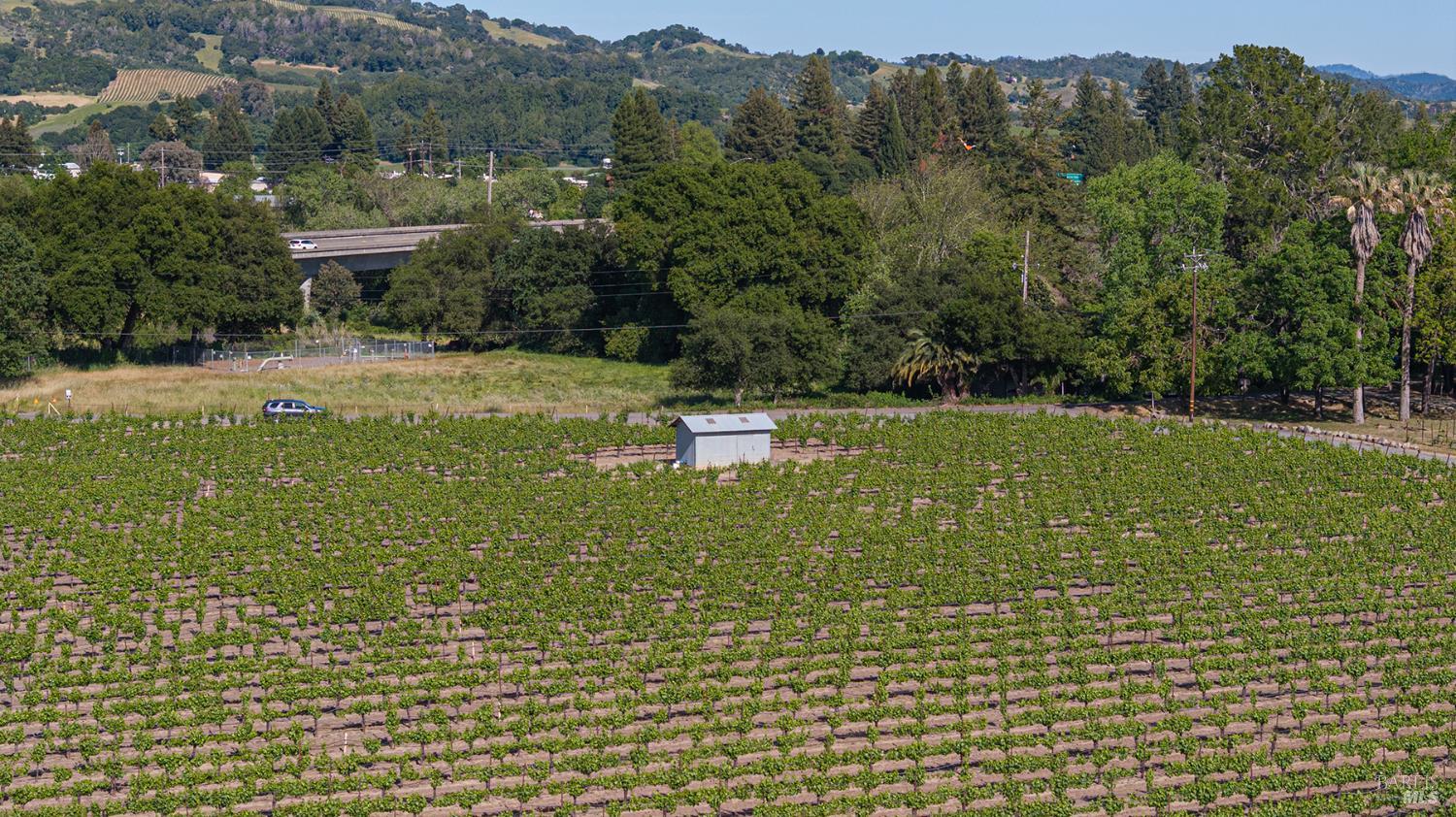 374 Kinley Drive Healdsburg CA 95448