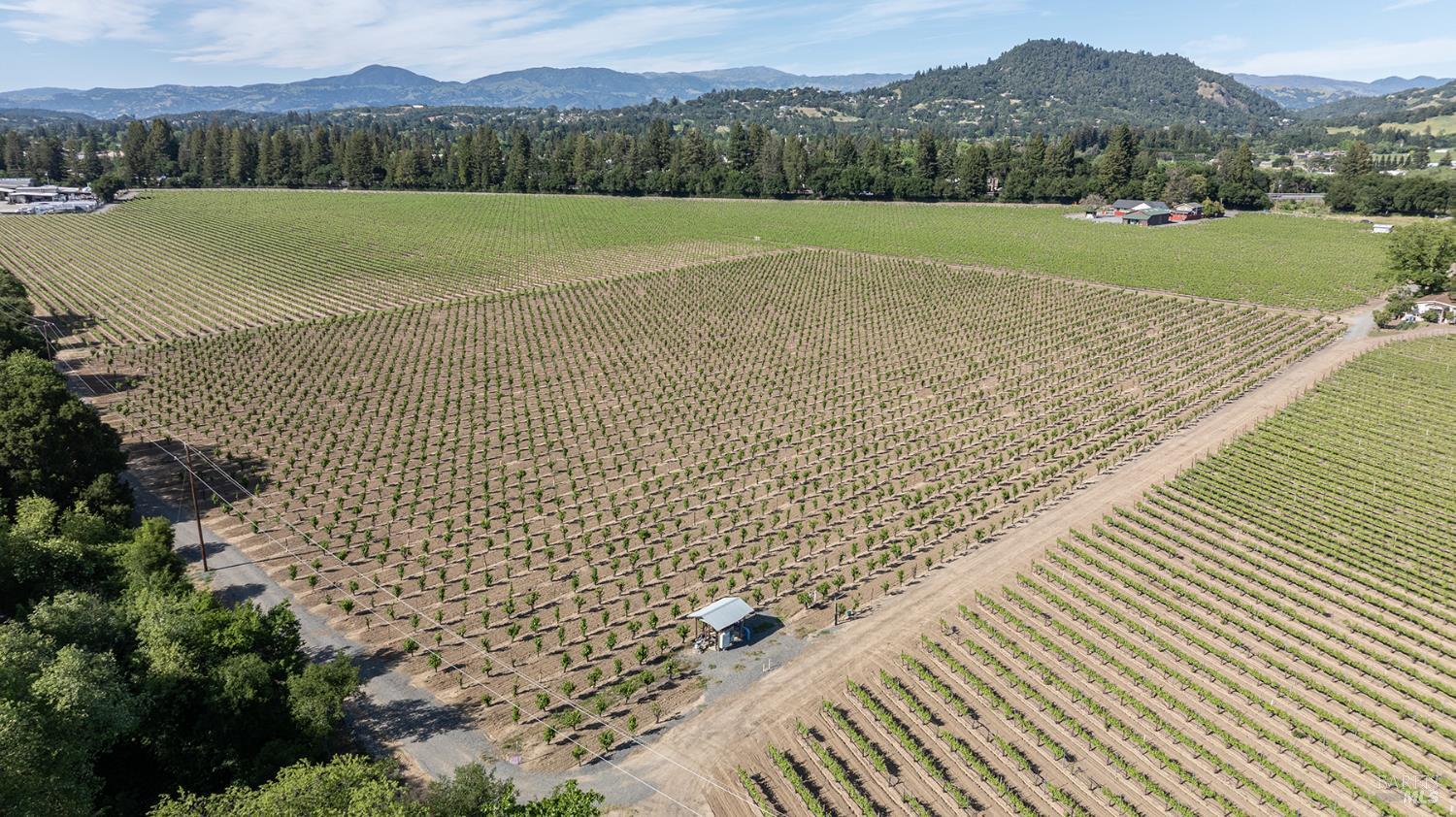 374 Kinley Drive Healdsburg CA 95448