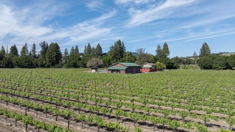 374 Kinley Drive Healdsburg CA 95448