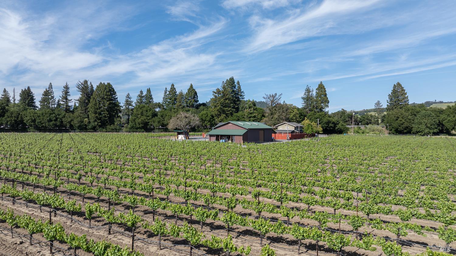 374 Kinley Drive Healdsburg CA 95448