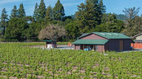 374 Kinley Drive Healdsburg CA 95448