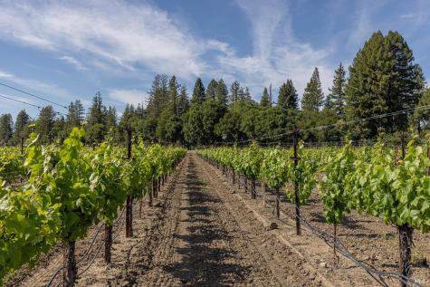 374 Kinley Drive Healdsburg CA 95448