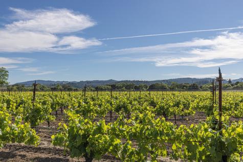 374 Kinley Drive Healdsburg CA 95448