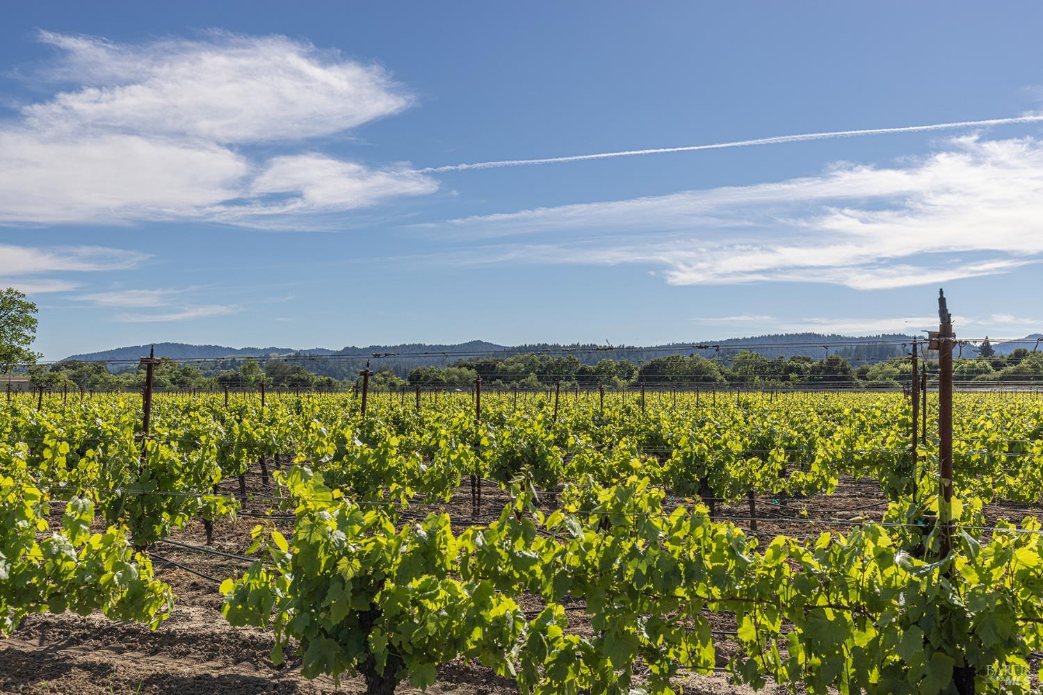 374 Kinley Drive Healdsburg CA 95448