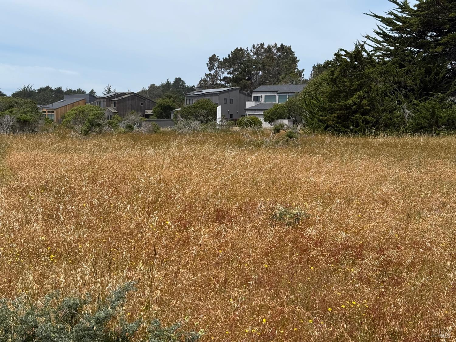 180 Windrow Road The Sea Ranch CA 95497