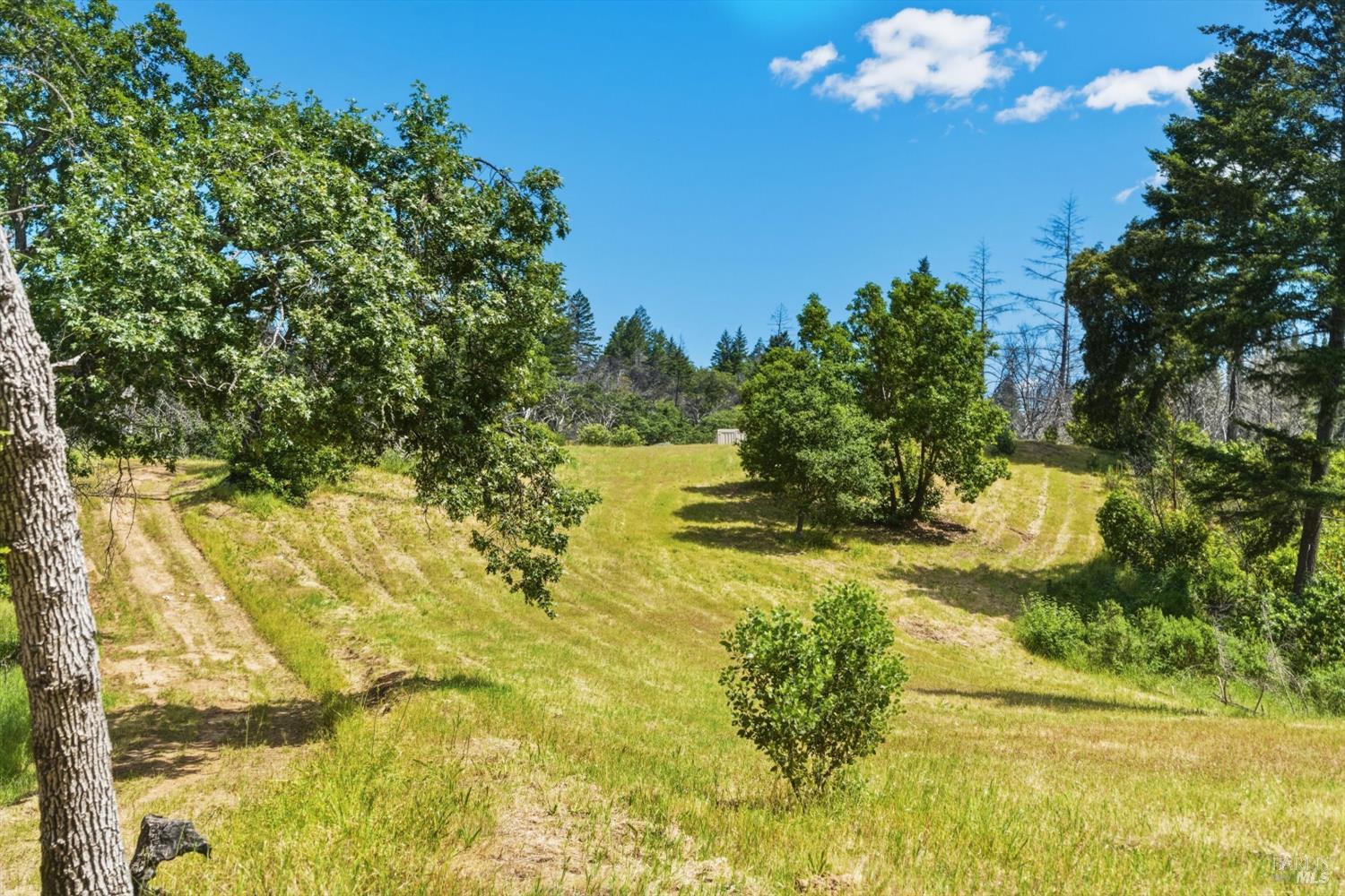 3444 Chicken Ridge Road Healdsburg CA 95448
