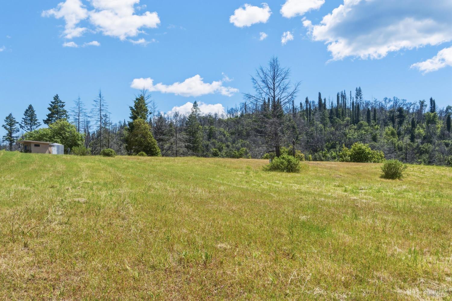 3444 Chicken Ridge Road Healdsburg CA 95448