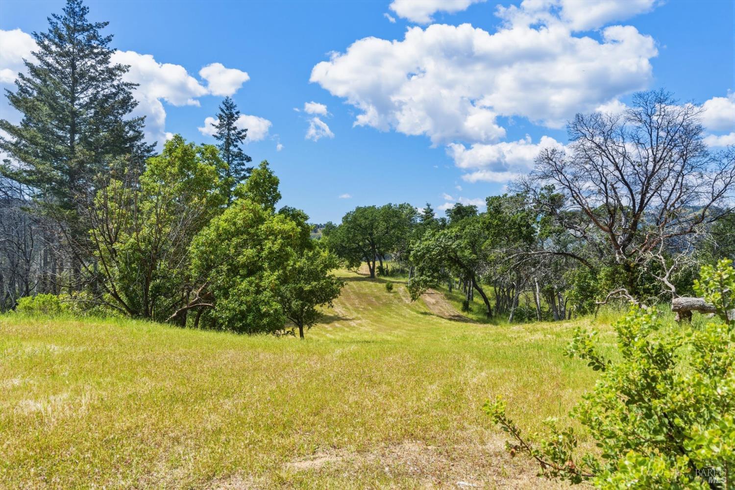 3444 Chicken Ridge Road Healdsburg CA 95448