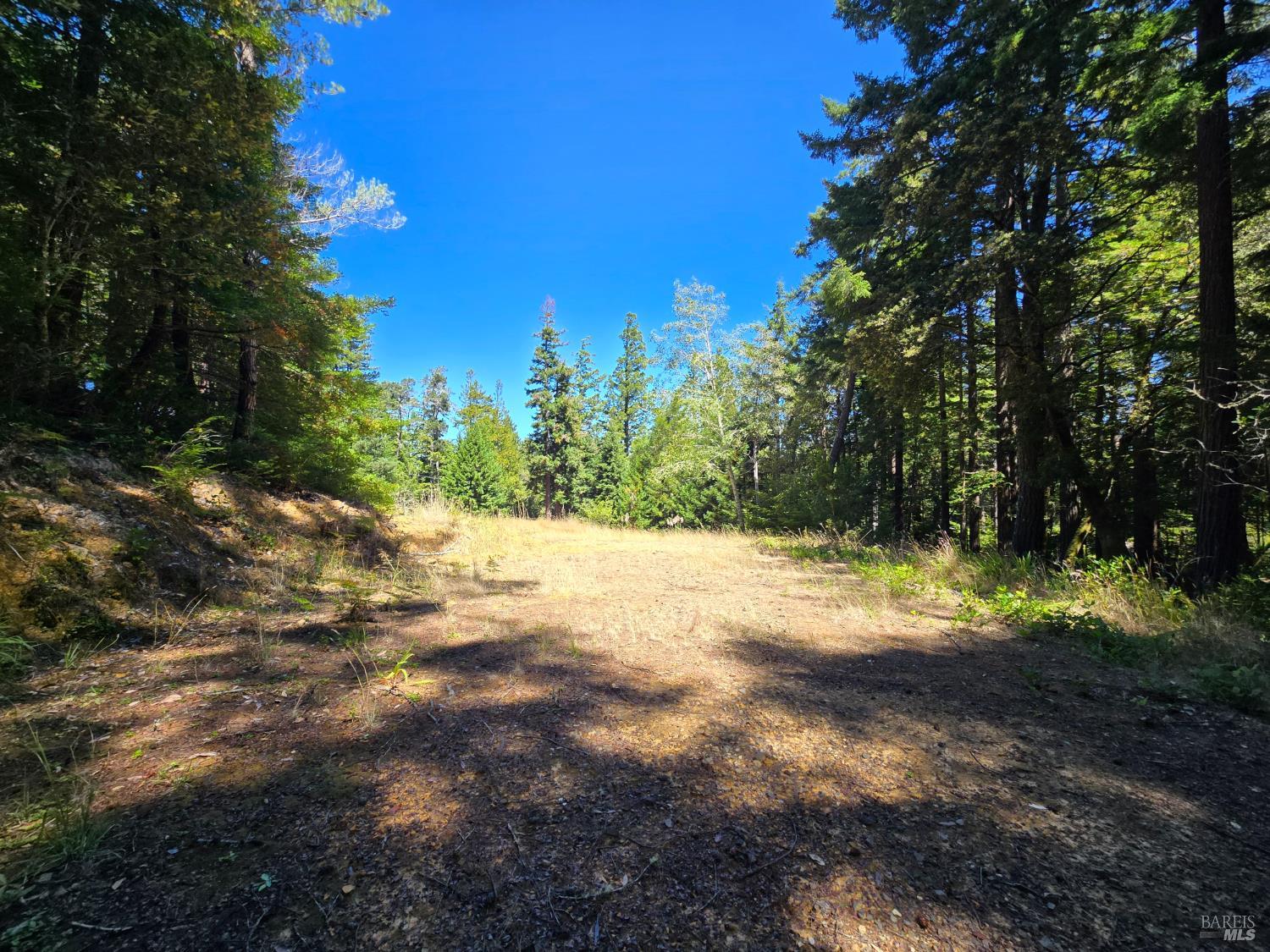 40741 Garcia River Road Point Arena CA 95468