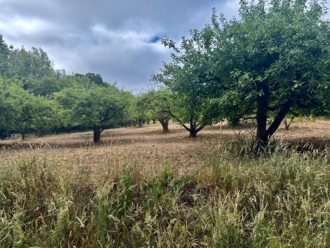 237 Gold Ridge Road Sebastopol CA 95472